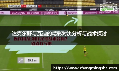 达克尔野与瓦迪的精彩对决分析与战术探讨