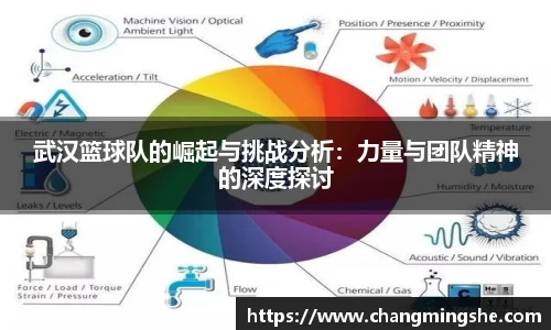 武汉篮球队的崛起与挑战分析：力量与团队精神的深度探讨