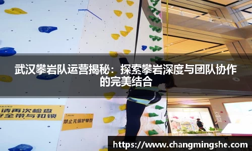 武汉攀岩队运营揭秘：探索攀岩深度与团队协作的完美结合